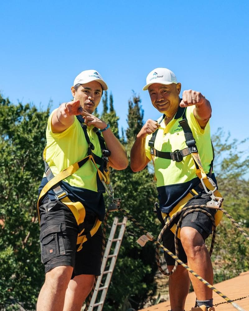 Two Leaky Roof roofers in safety harnesses on a tile roof in Canberra