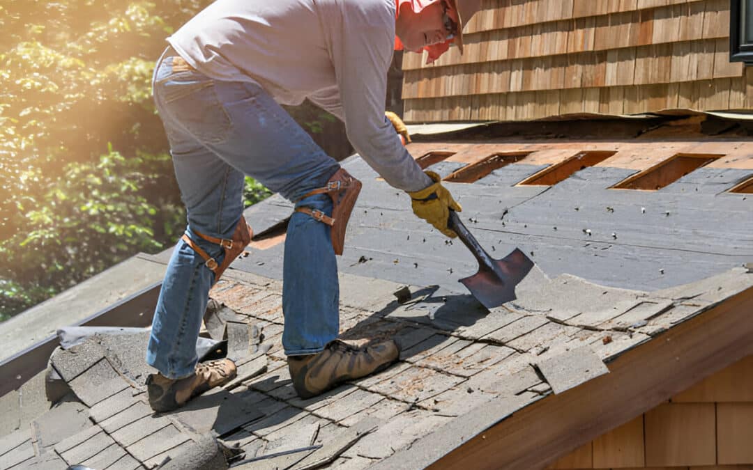 Roof Maintenance Tips to Keep Your Home in Good Shape