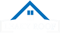 leaky roof logo footer