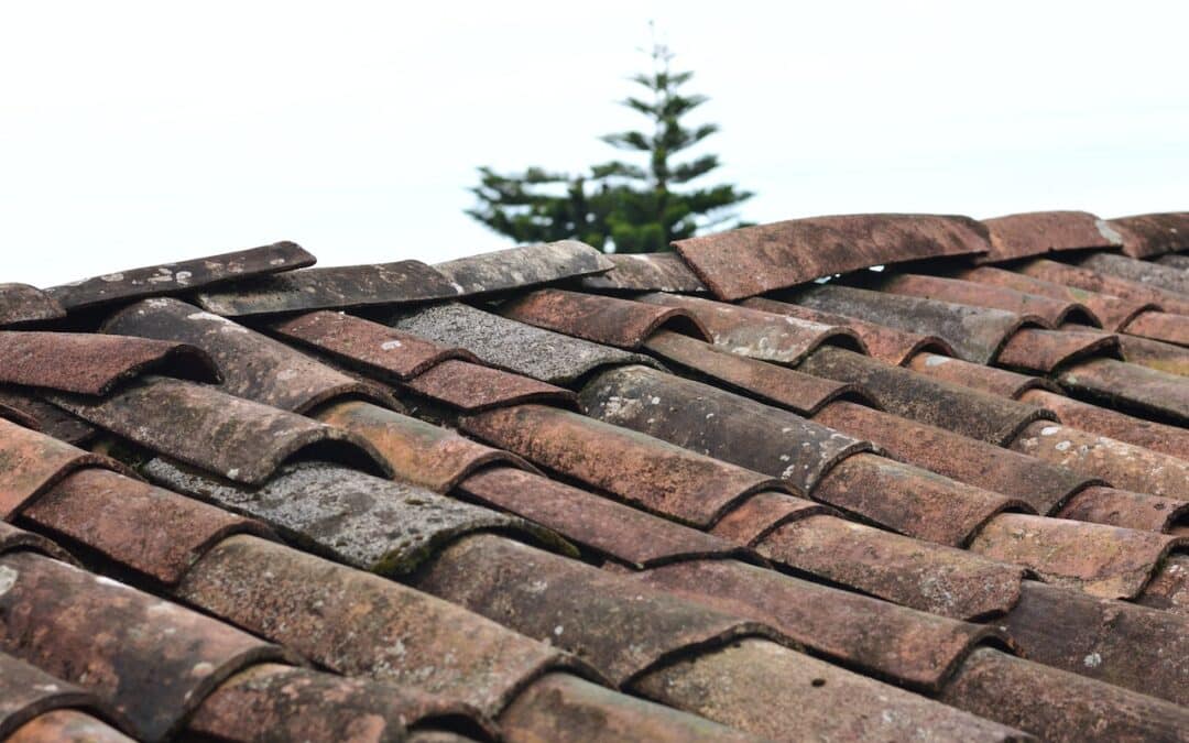 Signs of Roof Damage: How to Detect and Address Roofing Issues Before They Escalate