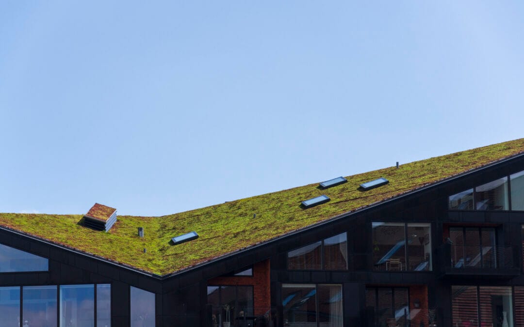 Green Roof Restoration: Sustainable Solutions and Their Advantages