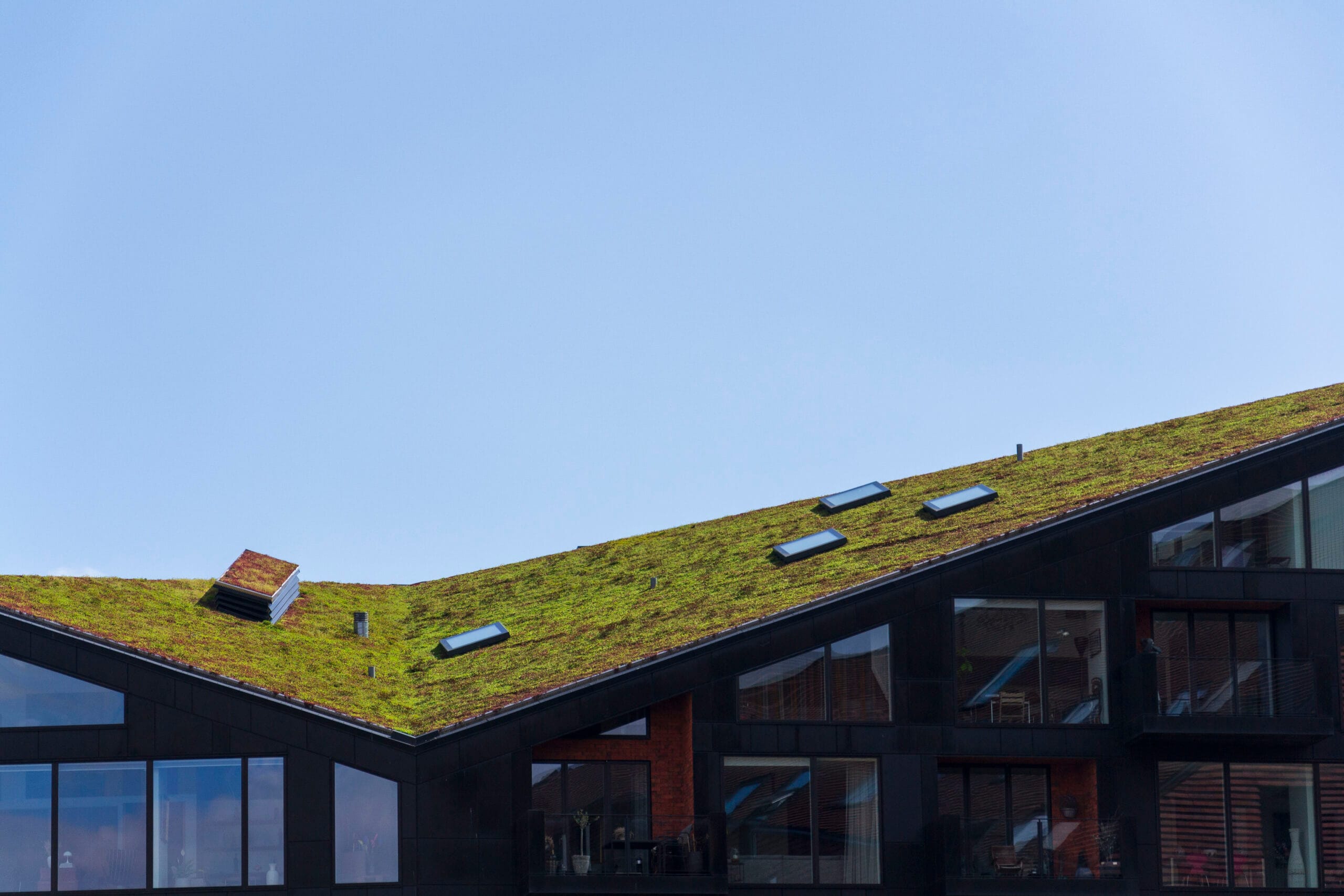 Green Ecological Sod Roof On Modern Building Covered With Vegetation